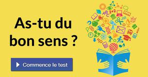 As-tu du bon sens ?