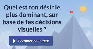 Quel est ton désir le plus dominant, sur base de tes décisions visuelles ?