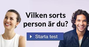 Vilken sorts person är du?