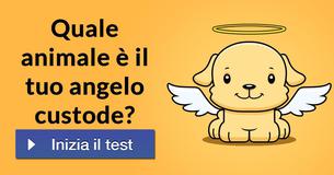 Quale animale è il tuo angelo custode?