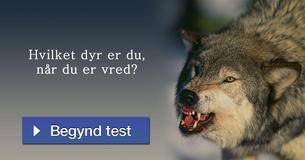Hvilket dyr er du, når du er vred?