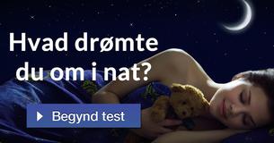 Hvad drømte du om i nat?
