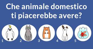 Quale personaggio televisivo sarebbe perfetto come tuo marito?