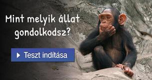 Mint melyik állat gondolkodsz?