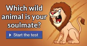 Which wild animal is your soulmate?
