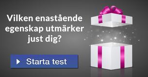 Vilken enastående egenskap utmärker just dig?
