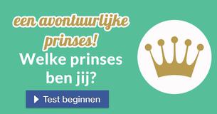 Welke prinses ben jij? 