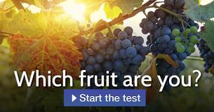 Which fruit are you?