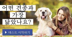 어떤 견종과 가장 닮았나요?