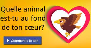 Quel animal es-tu au fond de ton cœur ?