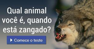 Qual animal você é, quando está zangado?