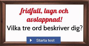 Vilka tre ord beskriver dig?
