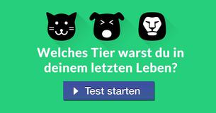 Welches Tier warst du in deinem letzten Leben? 