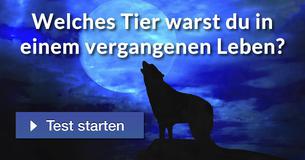 Welches Tier warst du in einem vergangenen Leben?