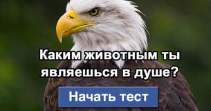 Каким животным ты являешься в душе?