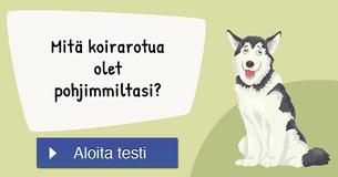Mitä koirarotua olet pohjimmiltasi?