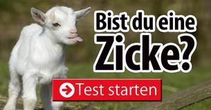 Bist du eine Zicke?