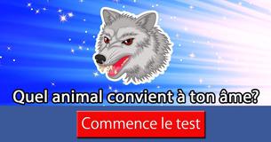 Quel animal convient à ton âme?