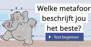 Welke metafoor beschrijft jou het beste? 