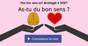 As-tu du bon sens ?