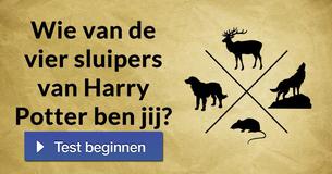 Wie van de vier sluipers van Harry Potter ben jij? 