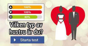 Vilken typ av hustru är du?