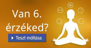 Van 6. érzéked?