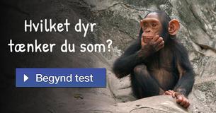 Hvilket dyr tænker du som?