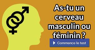 As-tu un cerveau masculin ou féminin ?