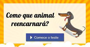 Como que animal reencarnará?