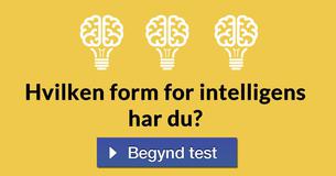 Hvilken form for intelligens har du?