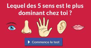 Lequel des 5 sens est le plus dominant chez toi ?