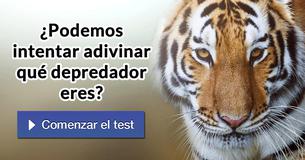 ¿Podemos intentar adivinar qué depredador eres?