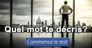 Quel mot te décrit?