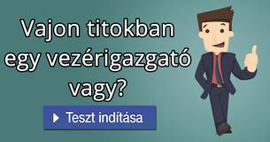 Vajon titokban egy vezérigazgató vagy?