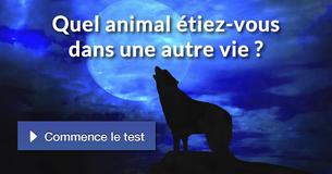 Quel animal étiez-vous dans une autre vie ?