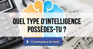 Quel type d'intelligence possèdes-tu ?