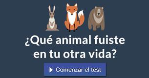 ¿Qué animal fuiste en tu otra vida?
