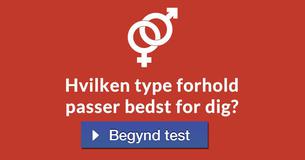 Hvilken type forhold passer bedst for dig?