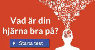 Vad är din hjärna bra på?