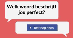Welk woord beschrijft jou perfect?