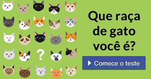 Que raça de gato você é?