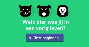 Welk dier was jij in een vorig leven?