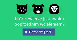 Które zwierzę jest twoim poprzednim wcieleniem?