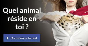 Quel animal réside en toi ?