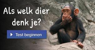 Als welk dier denk je?