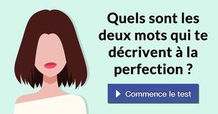 Quels sont les deux mots qui te décrivent à la perfection ?