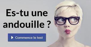 Es-tu une andouille ?