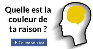 Quelle est la couleur de ta raison ?