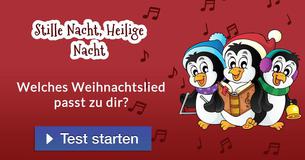 Welches Weihnachtslied passt zu dir?